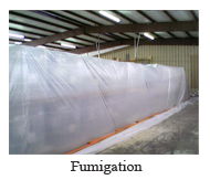 fumigation