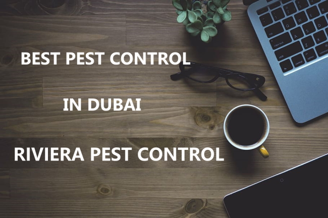 Pest Control Dubai