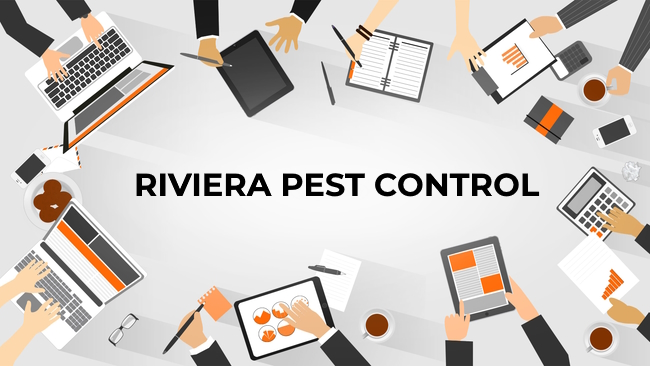 Pest Exterminators Dubai