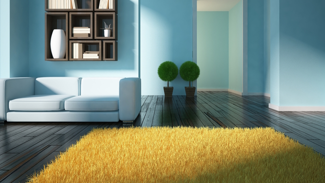 Pest Solutions in Dubai