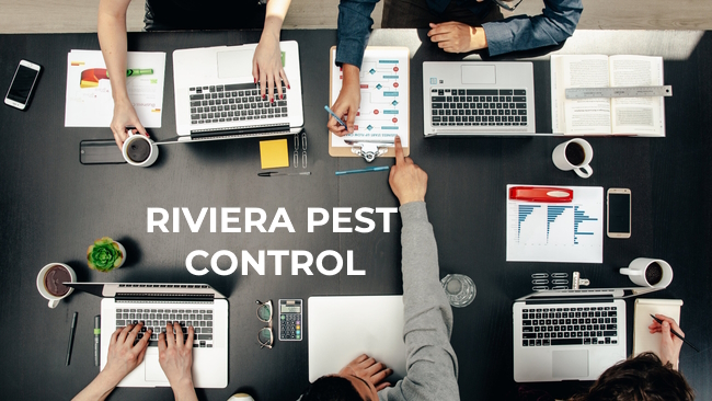 Pest Control 24/7 Dubai